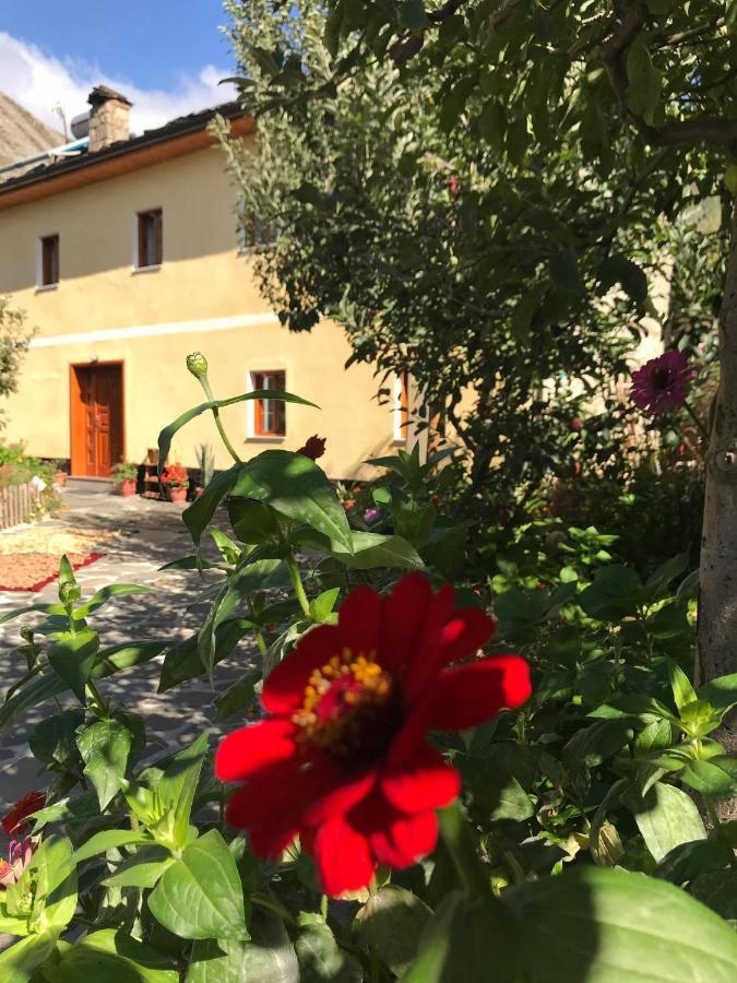 Guest House Sabriu Rabdisht エクステリア 写真